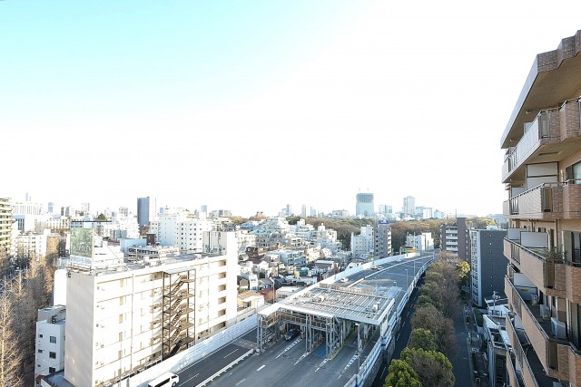 リシェ広尾　17.3帖のLDKの眺望