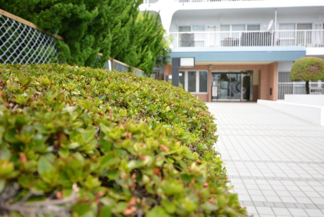 ネオコーポ芦花公園101　外観