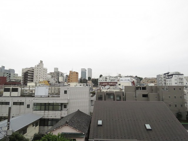 ライオンズマンション白金　眺望