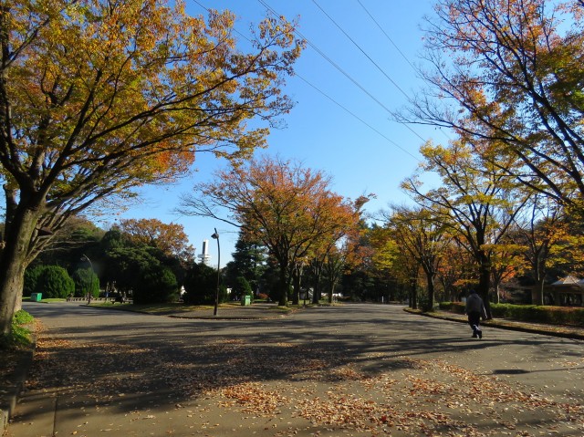 インペリアル八雲ハイム　周辺