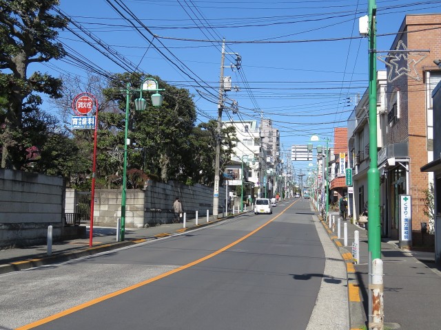 ニューライフ等々力　等々力商店街