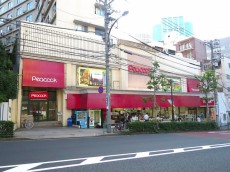 ライオンズマンション白金　周辺