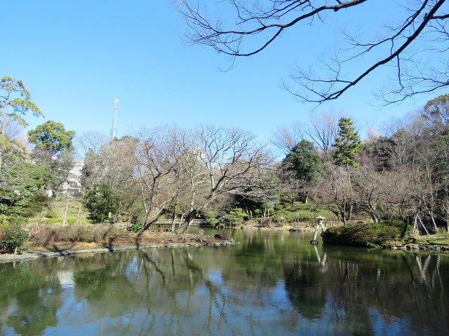 ライオンズマンション白金　周辺