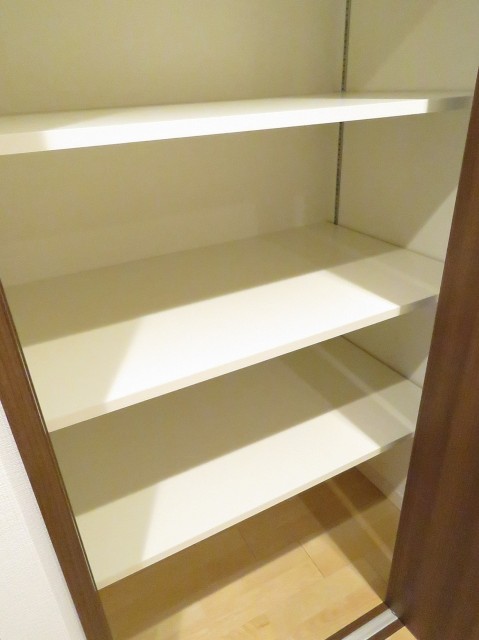 上野毛南パークホームズ　廊下収納