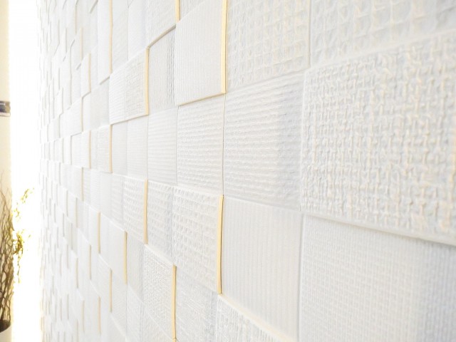 上野毛南パークホームズ　エコカラット