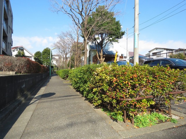 上野毛南パークホームズ　周辺