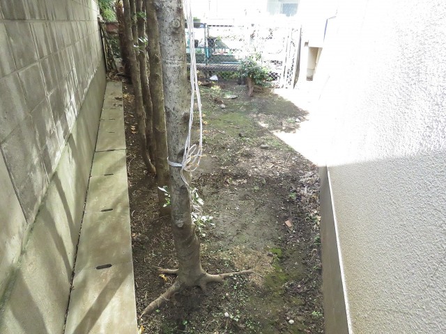 日商岩井第1玉川台マンション　専用庭
