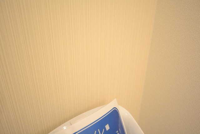 コスモ目黒パルティエ トイレ