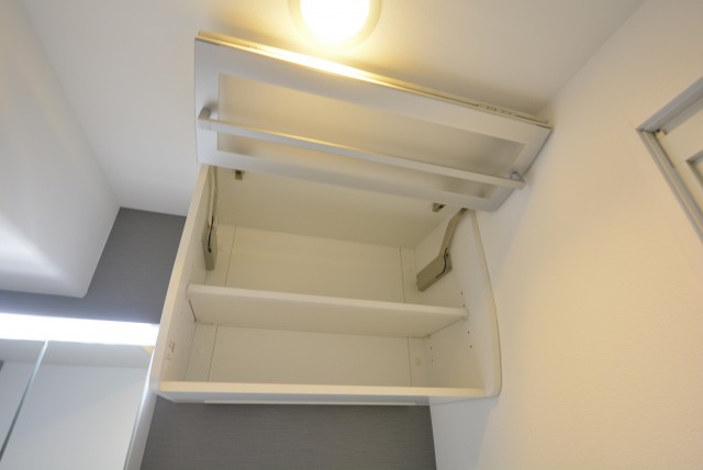 パレ二子玉川 洗面室