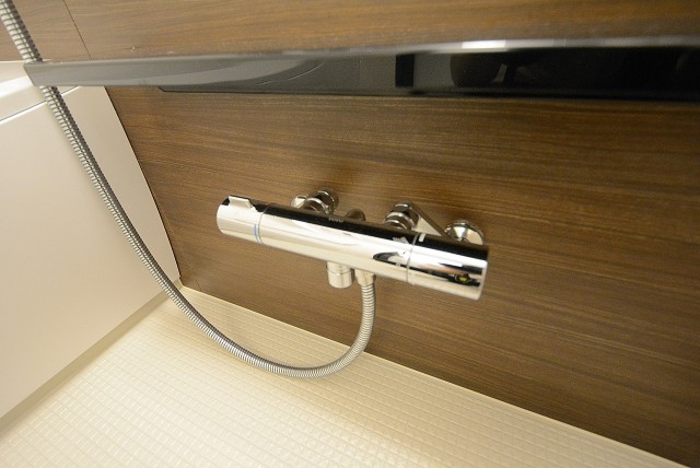 アイタウン ・レピア　バス