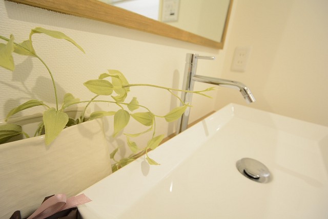 ライオンズマンション南平台 洗面