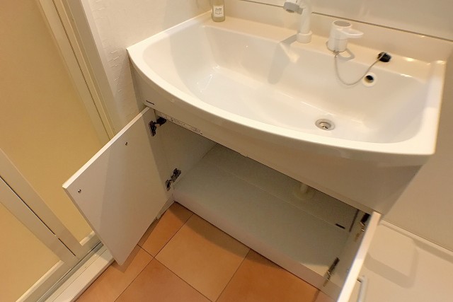 デボスハイツ 洗面室