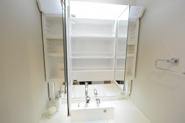 アルカサル世田谷上町洗面