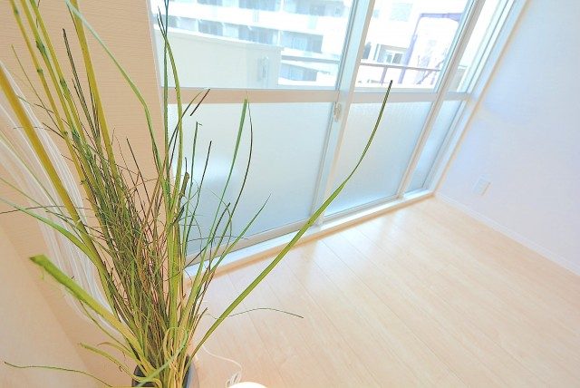 池ノ上グロリアハイツ LD