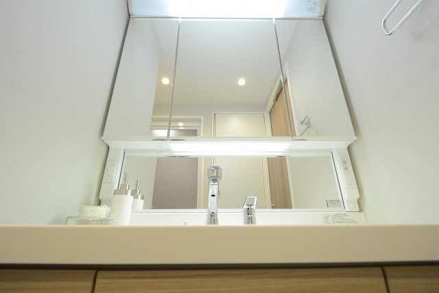 アルカサル世田谷上町洗面