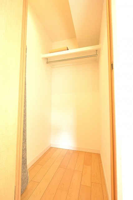 南青山ロータリーマンション　6.1帖洋室のWIC