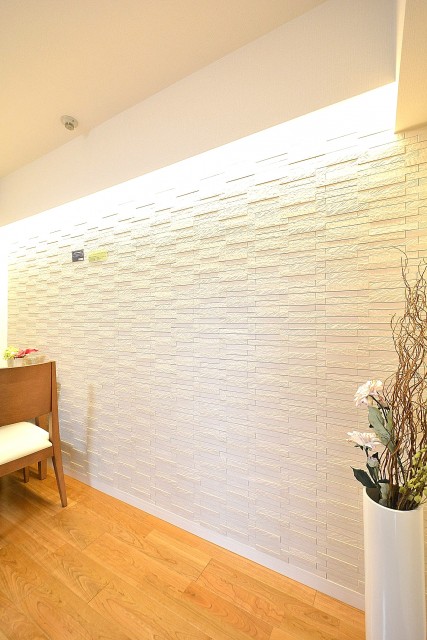 ニューウェルハイツ高輪　14.0帖LDKのエコカラット