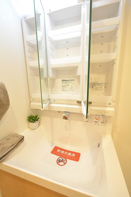 秀和第二三田綱町レジデンス　洗面台