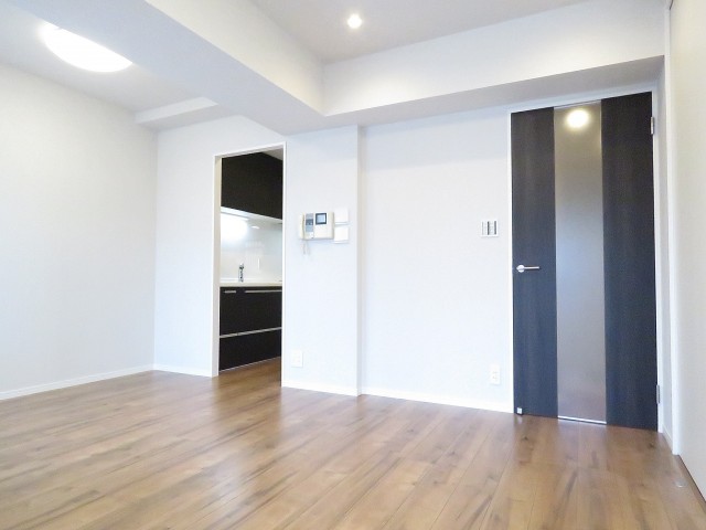 セザールアクアフロント勝どきイースト　LD約9.2帖