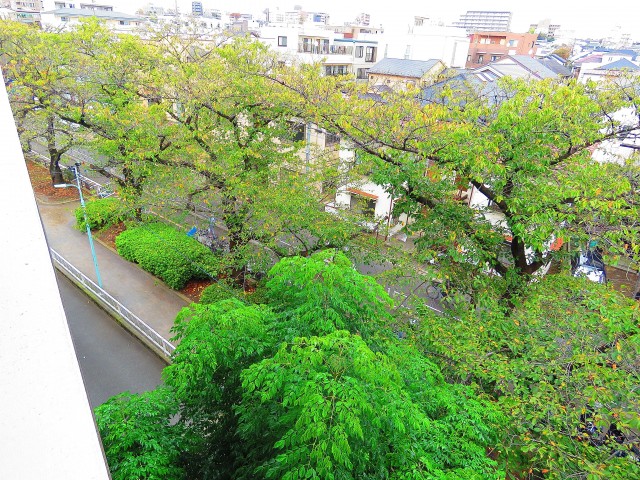 ミニカムマンション　眺望