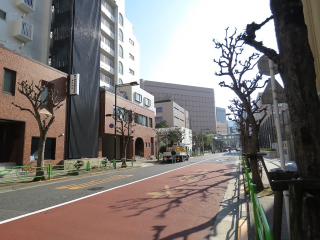 メゾンドール明石　エントランス前道路