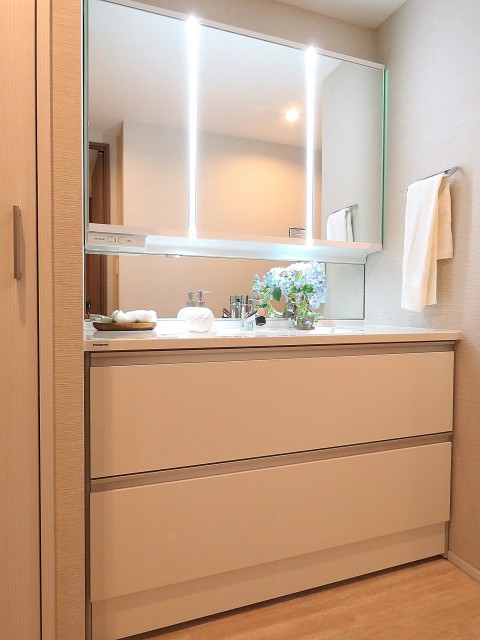 藤和渋谷常盤松ホームズ　洗面化粧台