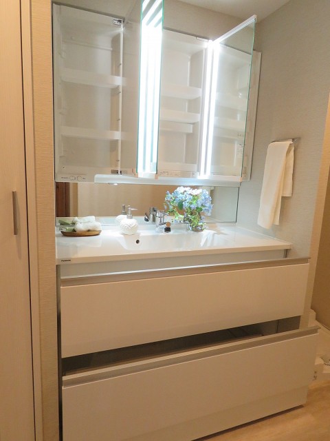 藤和渋谷常盤松ホームズ　洗面化粧台