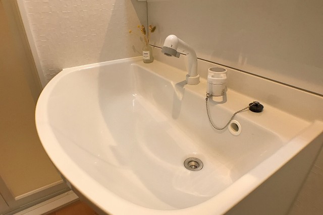 デボスハイツ 洗面室