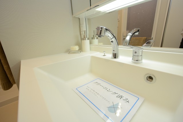 アルカサル世田谷上町洗面