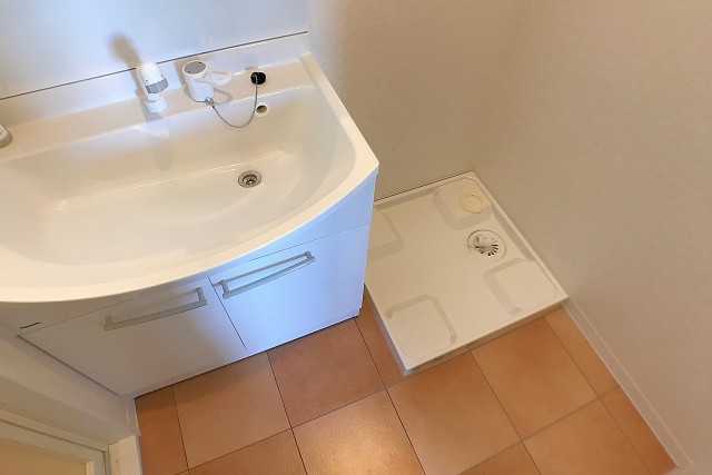 デボスハイツ 洗面室