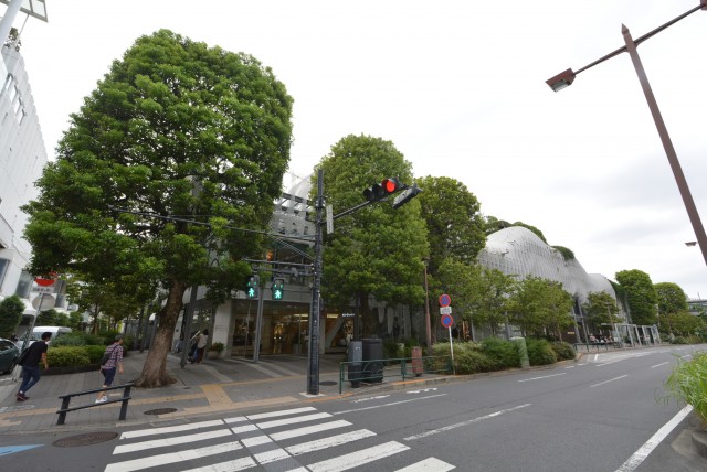 アトラス二子玉川園 (8)道中