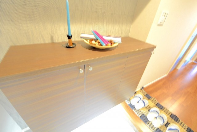 自由が丘ハイタウン 玄関