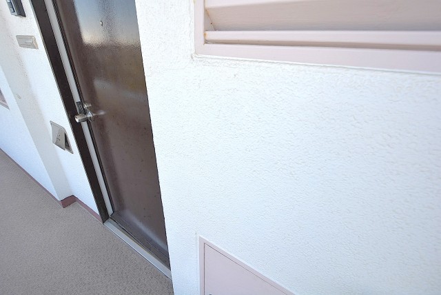 自由が丘ハイタウン 玄関