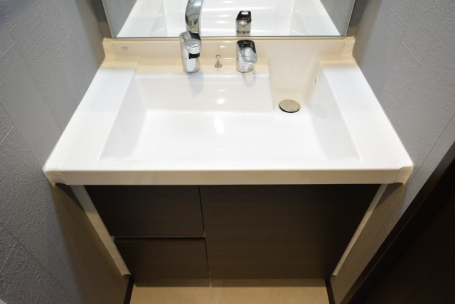 秀和築地レジデンス 洗面室