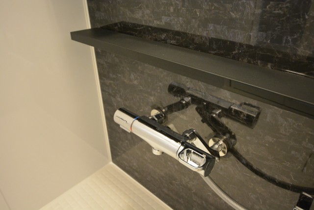 秀和築地レジデンス 浴室