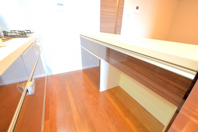 自由ヶ丘ハイタウン キッチン