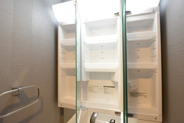 秀和築地レジデンス 洗面室