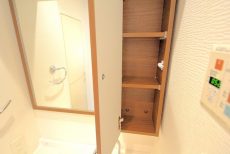 日神デュオステージ新宿若松町 洗面