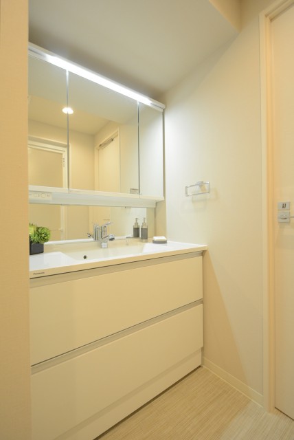 アトラス二子玉川園 洗面室