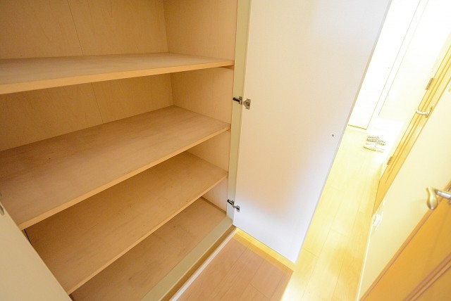 上野毛南パークホームズ 収納