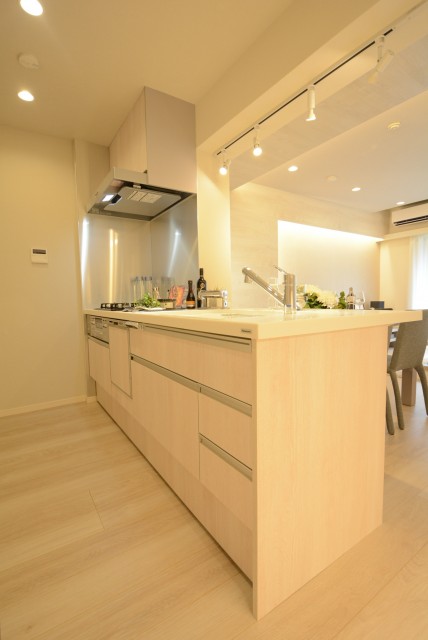 アトラス二子玉川園 キッチン