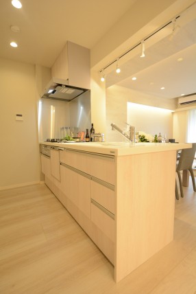 アトラス二子玉川園 キッチン