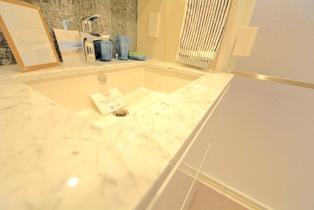 自由ヶ丘ハイタウン 洗面