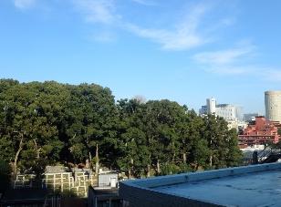 東建島津山南ハイツ　眺望