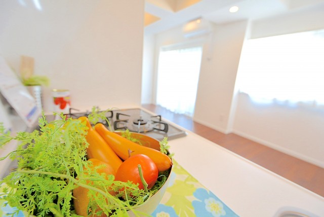 パイロットハウス北新宿 キッチン