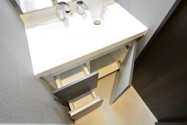 秀和築地レジデンス 洗面室