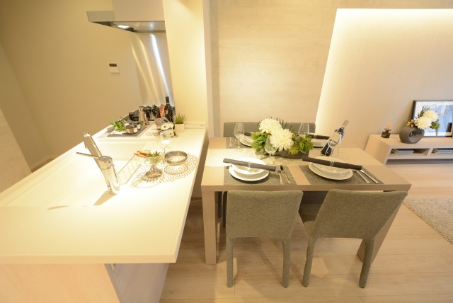 アトラス二子玉川園 LDK