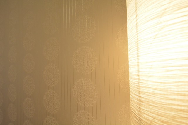 中銀南青山マンシオン202　壁紙