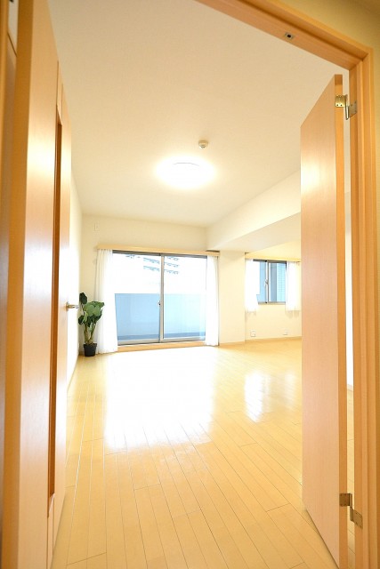 フェイム芝浦インターウエーブ　LDKドア