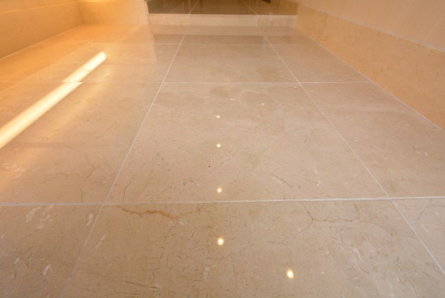 アルファホームズ深沢204　玄関